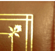 upper right corner
